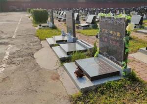 西1A區(qū)前一排平安石